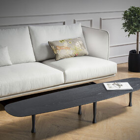 Mesa Unica Long Coffee Table